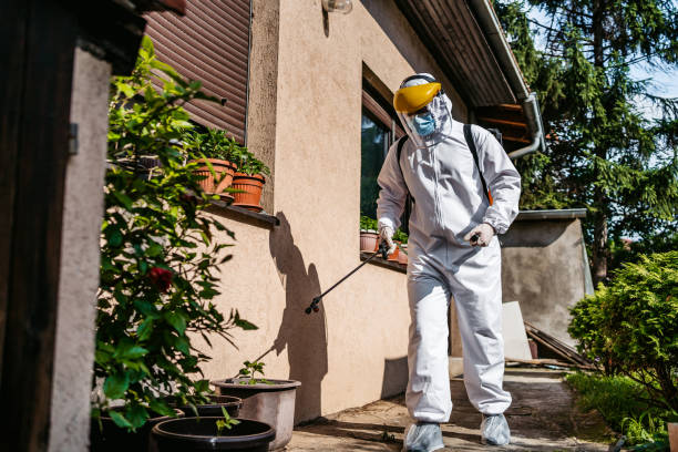 Flea Control Services in Schnecksville, PA