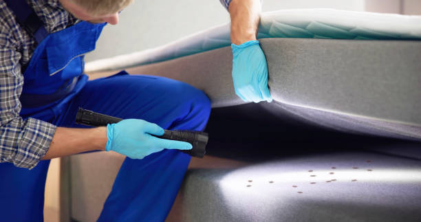 Best Best Pest Control Companies  in Schnecksville, PA
