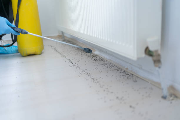 Reliable Schnecksville, PA Pest Control Solutions