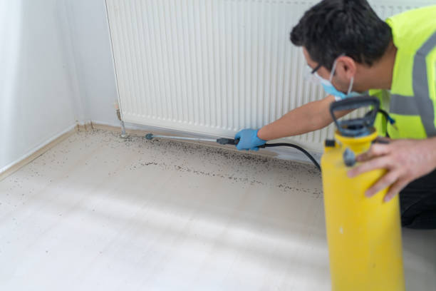 Best Emergency Pest Control  in Schnecksville, PA